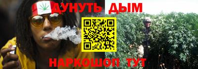 дживик Пенза
